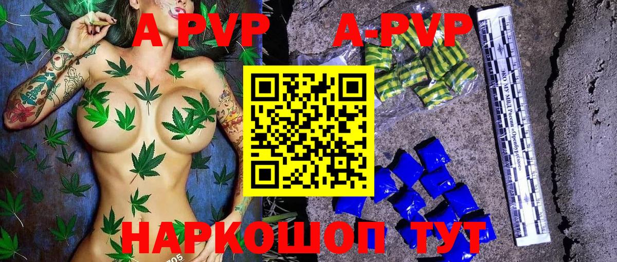 А ПВП СК Псков