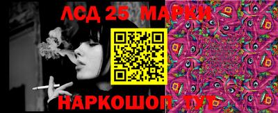 гидропоника Рязань