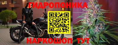 mdpv Рыбинск