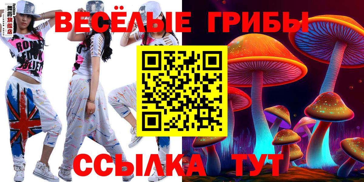 Псилоцибиновые грибы Psilocybine cubensis Псков