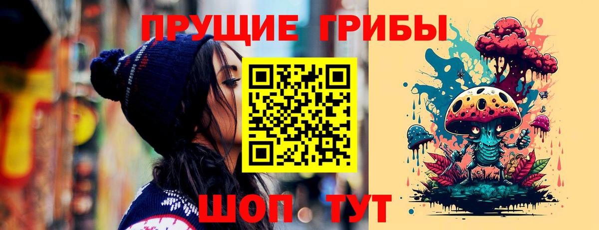 Псков  Галлюциногенные грибы Cubensis  Галлюциногенные грибы Psilocybe  Вход с VPN 